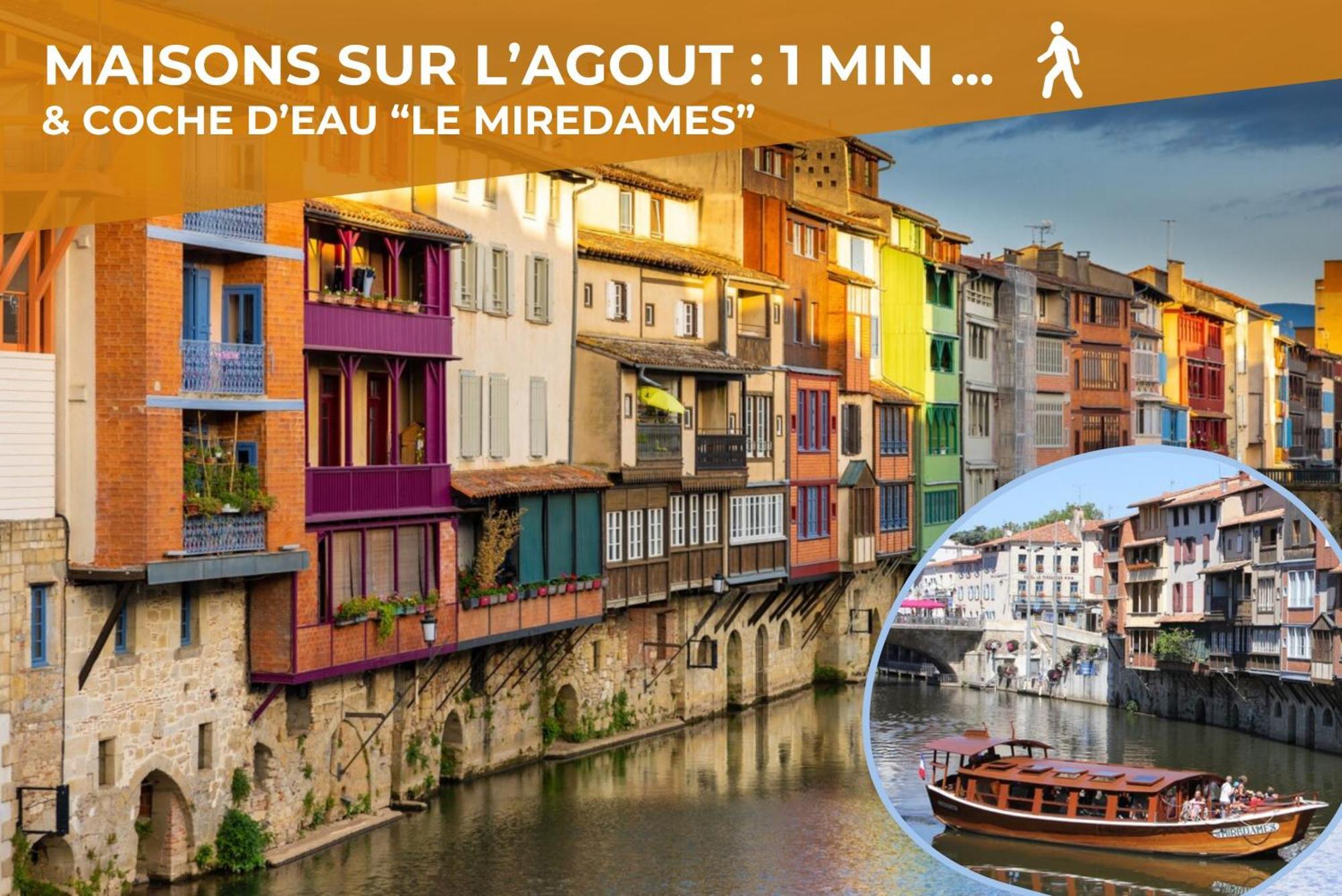 Le Canope - Grand Duplex Climatise, 2 Salles D'Eau, Hypercentre Apartamento Castres (Tarn)