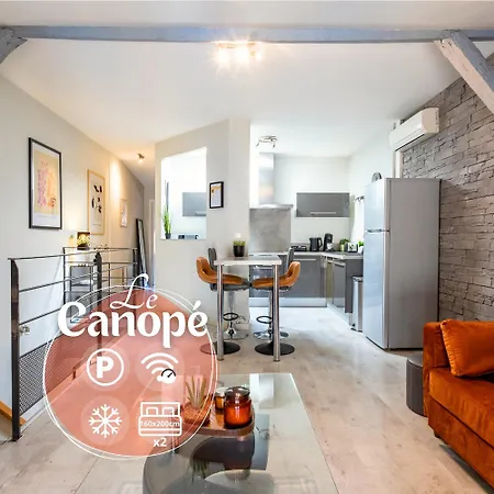 Le Canope - Grand Duplex Climatise, 2 Salles D'Eau, Hypercentre Castres (Tarn) Exterior photo