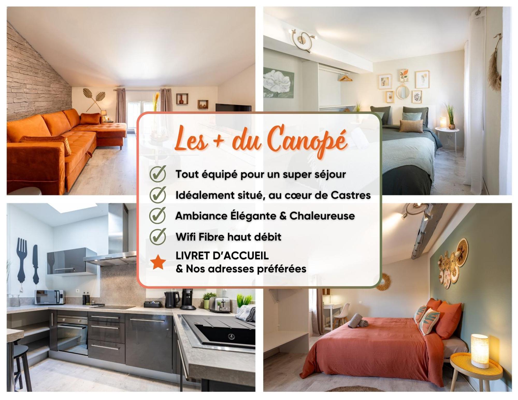 Le Canope - T3 Duplex, 2 Salles D'eau, Hypercentre * Castres (Tarn)