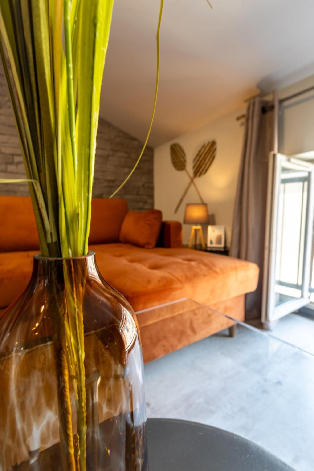 Le Canope - T3 Duplex, 2 Salles D'eau, Hypercentre * Castres (Tarn)